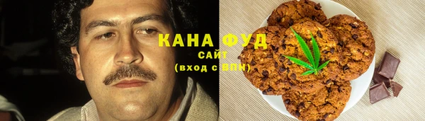 spice Богородицк