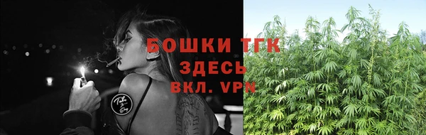 spice Богородицк
