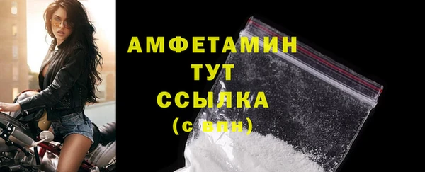 spice Богородицк