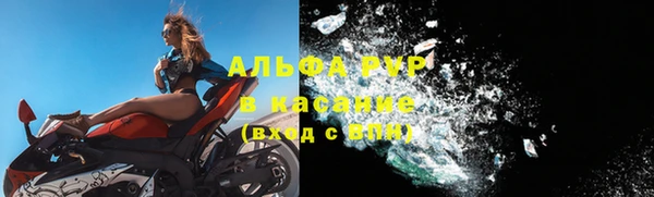 spice Богородицк
