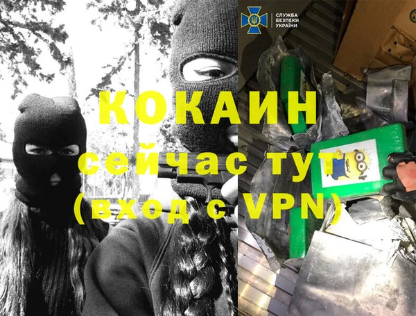 spice Богородицк