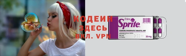 spice Богородицк