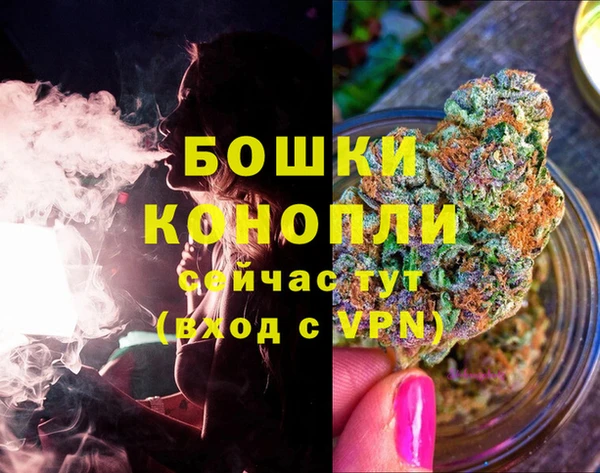 spice Богородицк