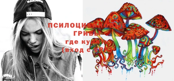 mdpv Богданович