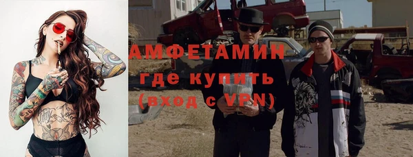spice Богородицк