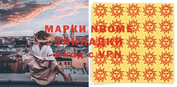 spice Богородицк