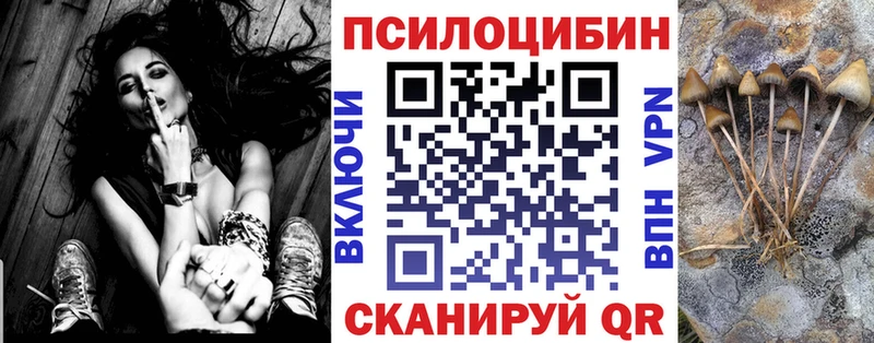 Галлюциногенные грибы Cubensis  Надым 