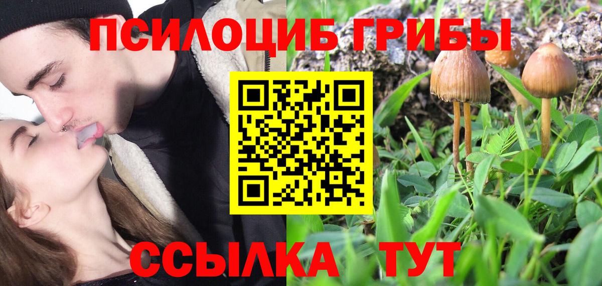 Надым  Галлюциногенные грибы мухоморы  Вход с VPN 