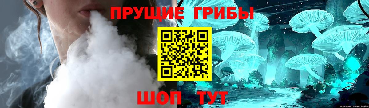 Псилоцибиновые грибы Cubensis Надым